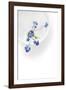 Peaceful Floral - Harmony-James Guilliam-Framed Giclee Print