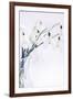 Peaceful Floral - Lullaby-James Guilliam-Framed Giclee Print