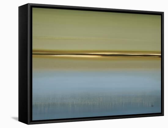 Peaceful Fusion-Lisa Ridgers-Framed Stretched Canvas
