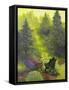 Peaceful Garden-Bonnie B. Cook-Framed Stretched Canvas