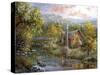 Peaceful Grove-Nicky Boehme-Stretched Canvas