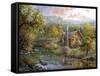 Peaceful Grove-Nicky Boehme-Framed Stretched Canvas