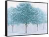 Peaceful Grove-James Wiens-Framed Stretched Canvas