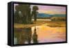 Peaceful I-Stevens Allayn-Framed Stretched Canvas