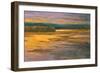 Peaceful II-Stevens Allayn-Framed Art Print