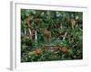 Peaceful Jungle-Betty Lou-Framed Giclee Print