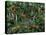 Peaceful Jungle-Betty Lou-Stretched Canvas