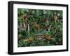 Peaceful Jungle-Betty Lou-Framed Giclee Print