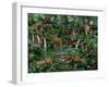 Peaceful Jungle-Betty Lou-Framed Giclee Print