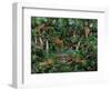 Peaceful Jungle-Betty Lou-Framed Premium Giclee Print