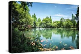 Peaceful Lake Scene with Greenery at One of the Lesser known Spots at West Lake in Hangzhou-Andreas Brandl-Stretched Canvas