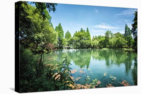 Peaceful Lake Scene with Greenery at One of the Lesser known Spots at West Lake in Hangzhou-Andreas Brandl-Stretched Canvas