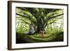 Peaceful Life-Ata Alishahi-Framed Giclee Print