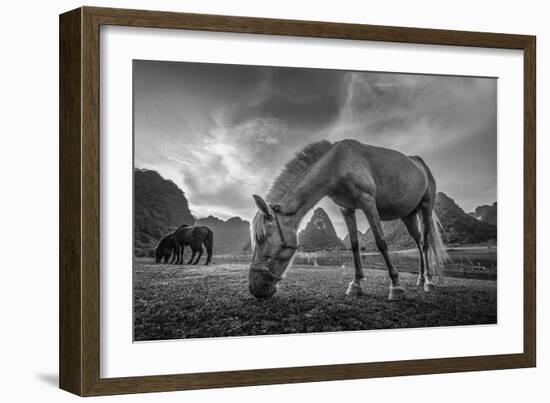 Peaceful Moment-Nhiem Hoang The-Framed Giclee Print