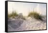 Peaceful Morning in the Beach Sand Dunes-forestpath-Framed Stretched Canvas