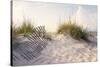 Peaceful Morning in the Beach Sand Dunes-forestpath-Stretched Canvas