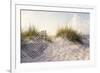 Peaceful Morning in the Beach Sand Dunes-forestpath-Framed Photographic Print