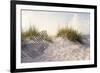 Peaceful Morning in the Beach Sand Dunes-forestpath-Framed Photographic Print