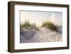 Peaceful Morning in the Beach Sand Dunes-forestpath-Framed Photographic Print