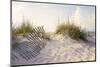 Peaceful Morning in the Beach Sand Dunes-forestpath-Mounted Photographic Print