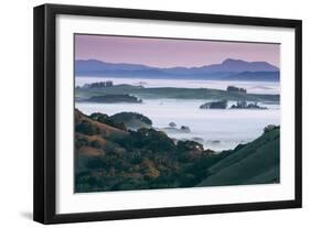 Peaceful Morning Mist and Fog Petaluma Sonoma California-Vincent James-Framed Photographic Print