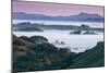 Peaceful Morning Mist and Fog Petaluma Sonoma California-Vincent James-Mounted Photographic Print