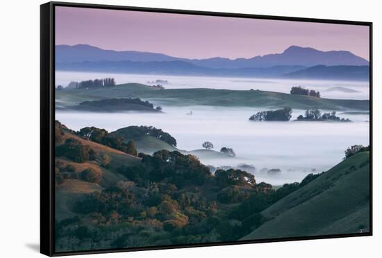 Peaceful Morning Mist and Fog Petaluma Sonoma California-Vincent James-Framed Stretched Canvas