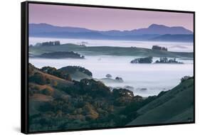 Peaceful Morning Mist and Fog Petaluma Sonoma California-Vincent James-Framed Stretched Canvas