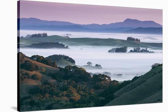 Peaceful Morning Mist and Fog Petaluma Sonoma California-Vincent James-Stretched Canvas