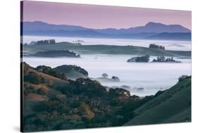 Peaceful Morning Mist and Fog Petaluma Sonoma California-Vincent James-Stretched Canvas
