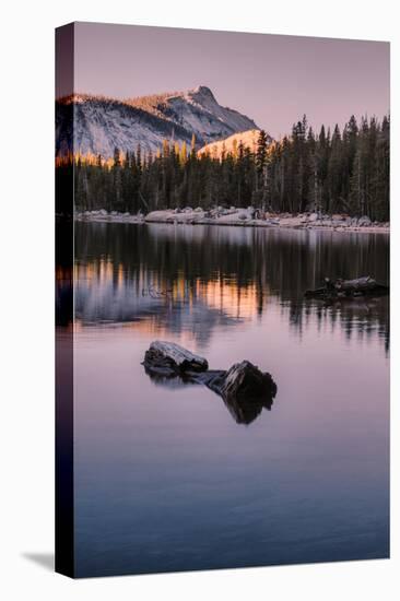 Peaceful Morning Reflection Yosemite Tioga Pass Tenaya Lake-Vincent James-Stretched Canvas