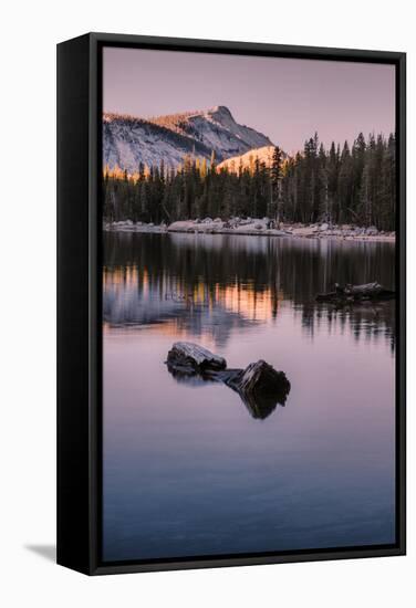 Peaceful Morning Reflection Yosemite Tioga Pass Tenaya Lake-Vincent James-Framed Stretched Canvas