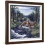 Peaceful Morning-Jeff Tift-Framed Giclee Print