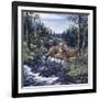 Peaceful Morning-Jeff Tift-Framed Giclee Print