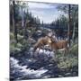 Peaceful Morning-Jeff Tift-Mounted Giclee Print