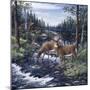 Peaceful Morning-Jeff Tift-Mounted Premium Giclee Print