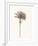 Peaceful Palm - Single-Hilary Armstrong-Framed Limited Edition