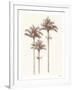 Peaceful Palm - Trio-Hilary Armstrong-Framed Limited Edition