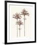 Peaceful Palm - Trio-Hilary Armstrong-Framed Limited Edition