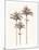 Peaceful Palm - Trio-Hilary Armstrong-Mounted Limited Edition