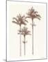 Peaceful Palm - Trio-Hilary Armstrong-Mounted Limited Edition