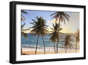 Peaceful Paradise-Michele Falzone-Framed Giclee Print