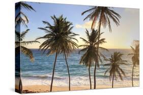 Peaceful Paradise-Michele Falzone-Stretched Canvas