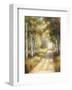 Peaceful Passage-Marc Lucien-Framed Art Print