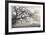 Peaceful Pasture-Donald Satterlee-Framed Giclee Print