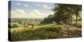 Peaceful Pasture-David Morgan-Stretched Canvas