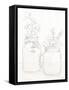 Peaceful Petals II Neutral-Beth Grove-Framed Stretched Canvas