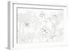 Peaceful Petals VI Neutral-Beth Grove-Framed Premium Giclee Print