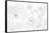 Peaceful Petals VI Neutral-Beth Grove-Framed Stretched Canvas