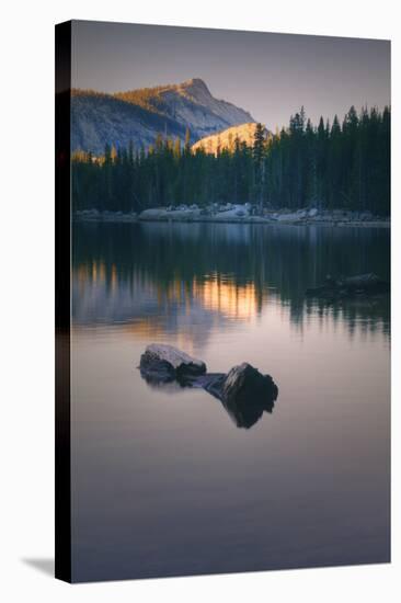 Peaceful Reflection at Tenaya Lake Yosemite National Park-Vincent James-Stretched Canvas